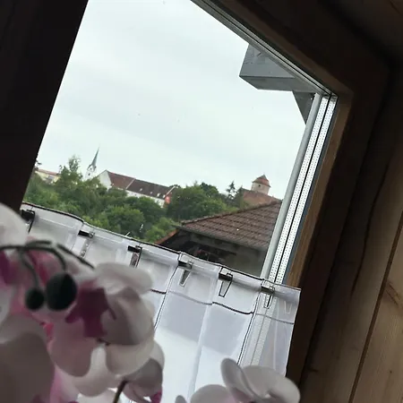 Modernes Blockhaus Mit Sauna Flair Lisberg